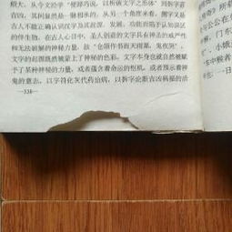 易卜居姓名测姻缘查询(卜易居姓名免费测试打分周易)