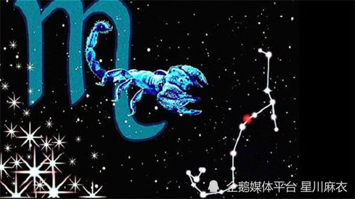 摩羯座婚姻缘分是多少(摩羯座的婚姻最终归宿)