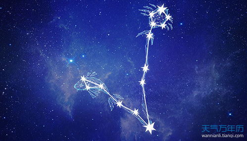 双鱼天蝎是宿命姻缘星座(双鱼的天蝎座)