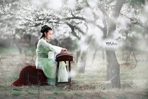 水姻缘是那年唱的(水姻缘歌曲含义)