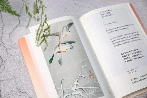 前世因果和姻缘的区别(前世因果的意思)