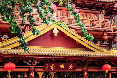 大佛古寺 求姻缘准吗(大佛古寺 求姻缘准吗可信吗)
