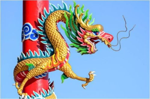 2020年龙有姻缘吗(2020年属龙人的婚姻状况)