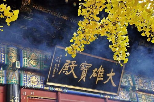 永康哪里能求姻缘的(永康哪里能求姻缘的地方)