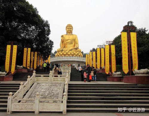 重庆南山求姻缘准吗(重庆南山寺庙叫什么名字)
