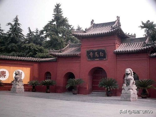阜新求姻缘最灵的寺庙(阜新哪里有寺庙)