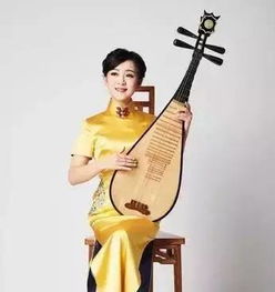 弹词欢喜姻缘分回介绍(评弹欢喜姻缘视频)