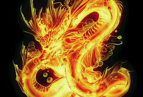 属龙人龙年姻缘怎样(属龙姻缘在哪年最旺盛)