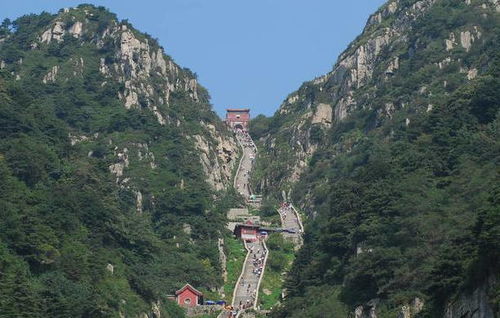 泰山上有姻缘吗求解(泰山 姻缘)