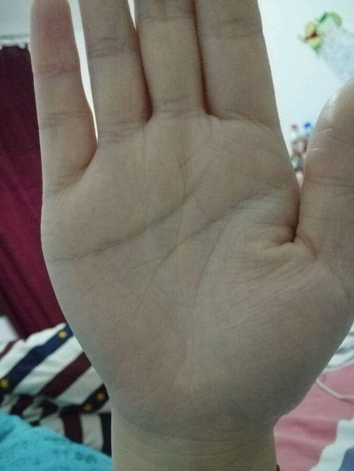 晚年姻缘最好的手相图(晚年婚姻应该追求什么)
