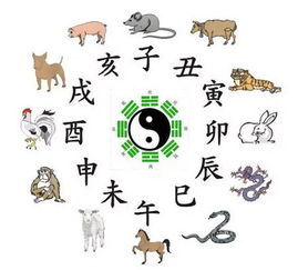 子时和寅时姻缘配合吗(寅时与子时结婚好不好)