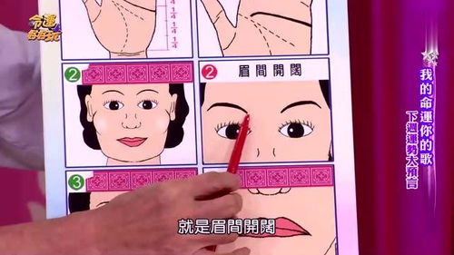 面相算命怎么看姻缘(面相算命怎么看姻缘的)