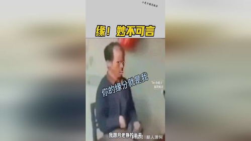 在线算姻缘免费大师视频(在线算命姻缘)