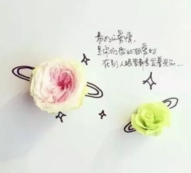 美好的姻缘需要彼此包容(最好的婚姻是相互包容)