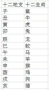 十二时辰配对姻缘查询(十二时辰属相与姻缘)