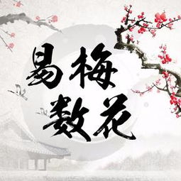 梅花易数求姻缘相貌(梅花易数测婚姻怎么看)