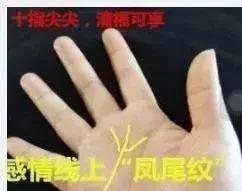 人中龙凤怎么看姻缘(人中龙凤的人)