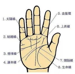 晚年姻缘好的手纹图(晚年姻缘好的手纹图片)