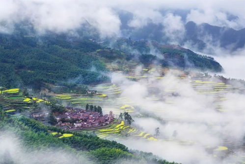 山水姻缘神仙福慧(山水蒙姻缘)