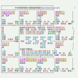 夫妻宫怎么查姻缘(夫妻宫怎么看会不会离婚)