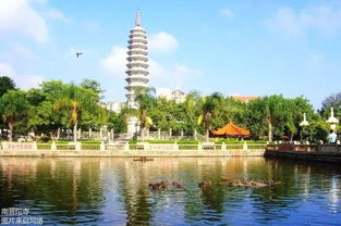 南普陀求姻缘感应(南普陀姻缘签)