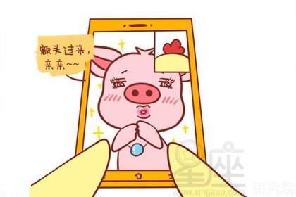 属猪人属相姻缘配对(属猪人的婚配表)