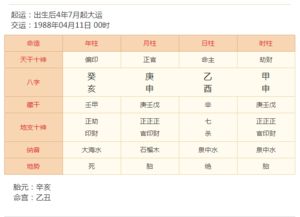 命理与姻缘运势(姻缘 命理)