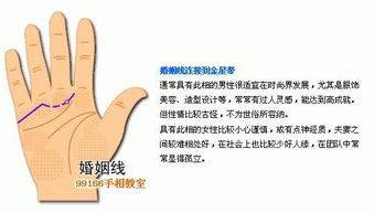 爱情线与姻缘线(爱情线婚姻线怎么看)