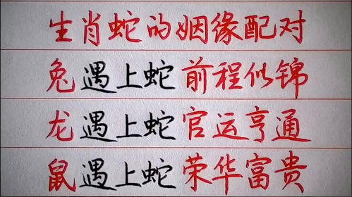 生日配对姻缘测试 免费(生日配对测试婚姻缘)