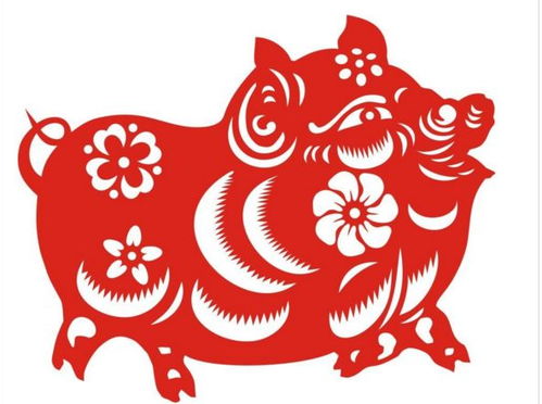 71猪男2022姻缘(71属猪男2021年有桃花运)