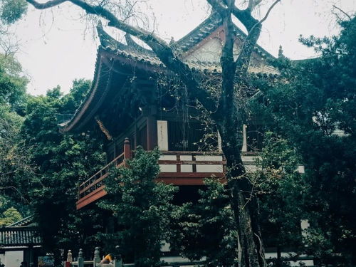 广州求姻缘最灵的(广州求姻缘最灵的庙在哪里)