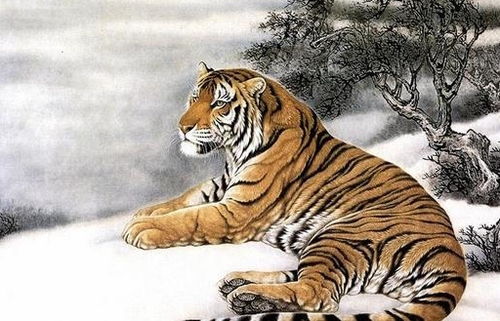 生肖虎姻缘运气如何(生肖虎婚姻状况)