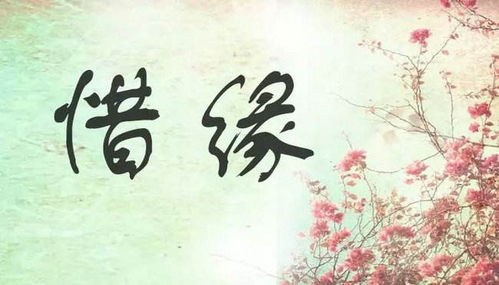 等待好姻缘的诗句(等待好姻缘的诗句大全)