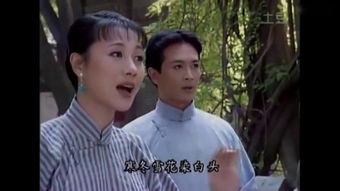 啼笑姻缘香港版下集(啼笑姻缘在线)