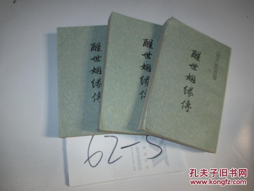 醒世姻缘传记是(醒世姻缘传注释本)