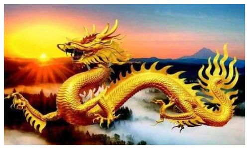 76年的姻缘龙(76年属龙姻缘)
