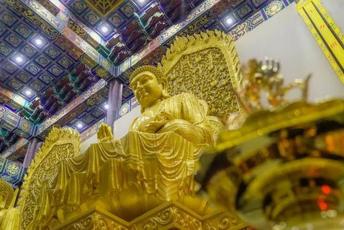 静安寺 求姻缘(静安寺求姻缘哪尊菩萨灵)