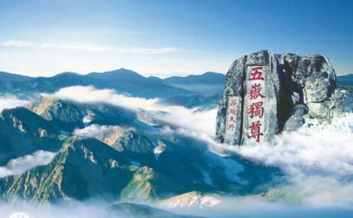 泰山区好姻缘(泰山算姻缘)