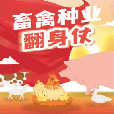 姻缘命运好的人特点(姻缘好是什么意思)