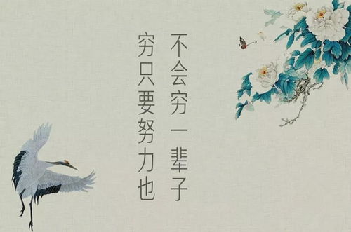 前世今生姻缘语录图片(前世姻缘今生定什么意思)