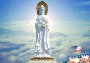 佛祖43签姻缘好吗(佛祖灵签34签解姻缘)