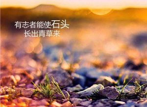上天不成全姻缘谚语(上天不成全姻缘谚语怎么说)