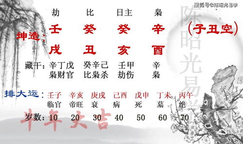 辛未丙申辛亥己丑姻缘(辛未丙申辛酉己亥女命)
