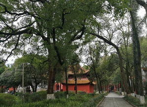 南岳大庙怎么求姻缘(南岳大庙怎么求姻缘的)