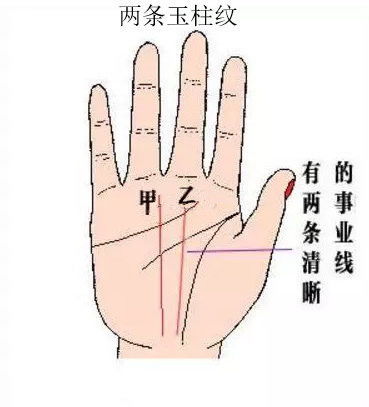 左手代表前世姻缘吗(左手是另一半的手相吗)