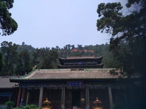 交城卦山求姻缘(交城卦山历史有多少年)