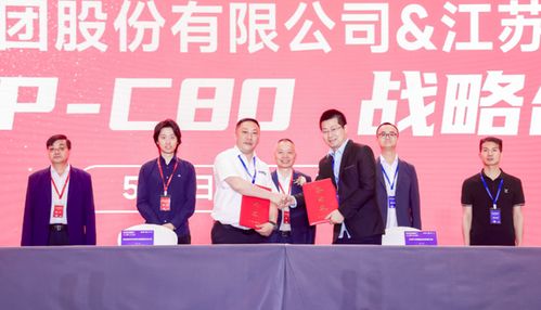 娱乐 开局签到姻缘红线(开局签到娱乐公司股份)