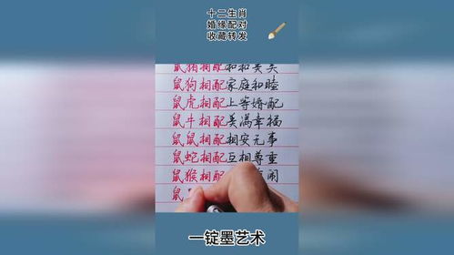 姻缘配对测试用例(算姻缘匹配度)