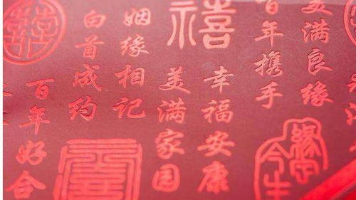 花笺姻缘txt偏执男(花笺记全本)