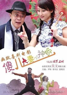 酸辣姻缘观后感(电影酸辣姻缘全场)
